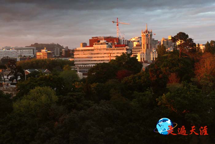 4 清晨，南太平洋第一抹阳光辉映着奥克兰大学.jpg